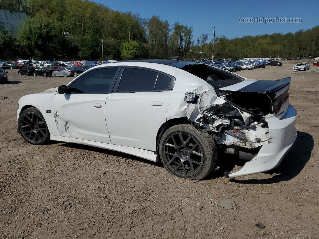 2017 Dodge Charger R/t White vin: 2C3CDXCT5HH528953