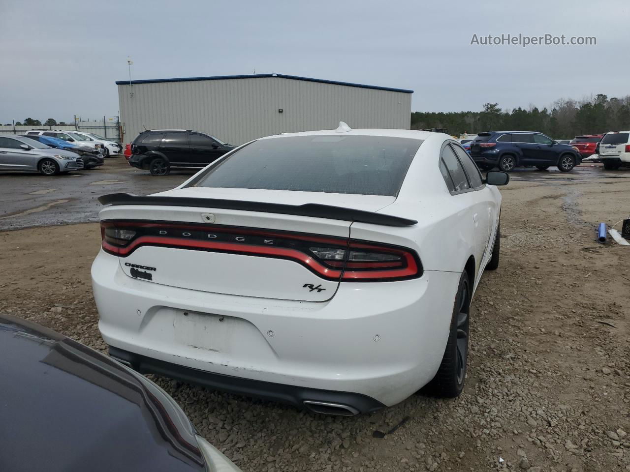 2016 Dodge Charger R/t White vin: 2C3CDXCT6GH126874