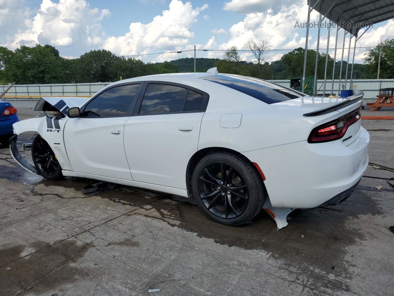 2016 Dodge Charger R/t White vin: 2C3CDXCT7GH347545