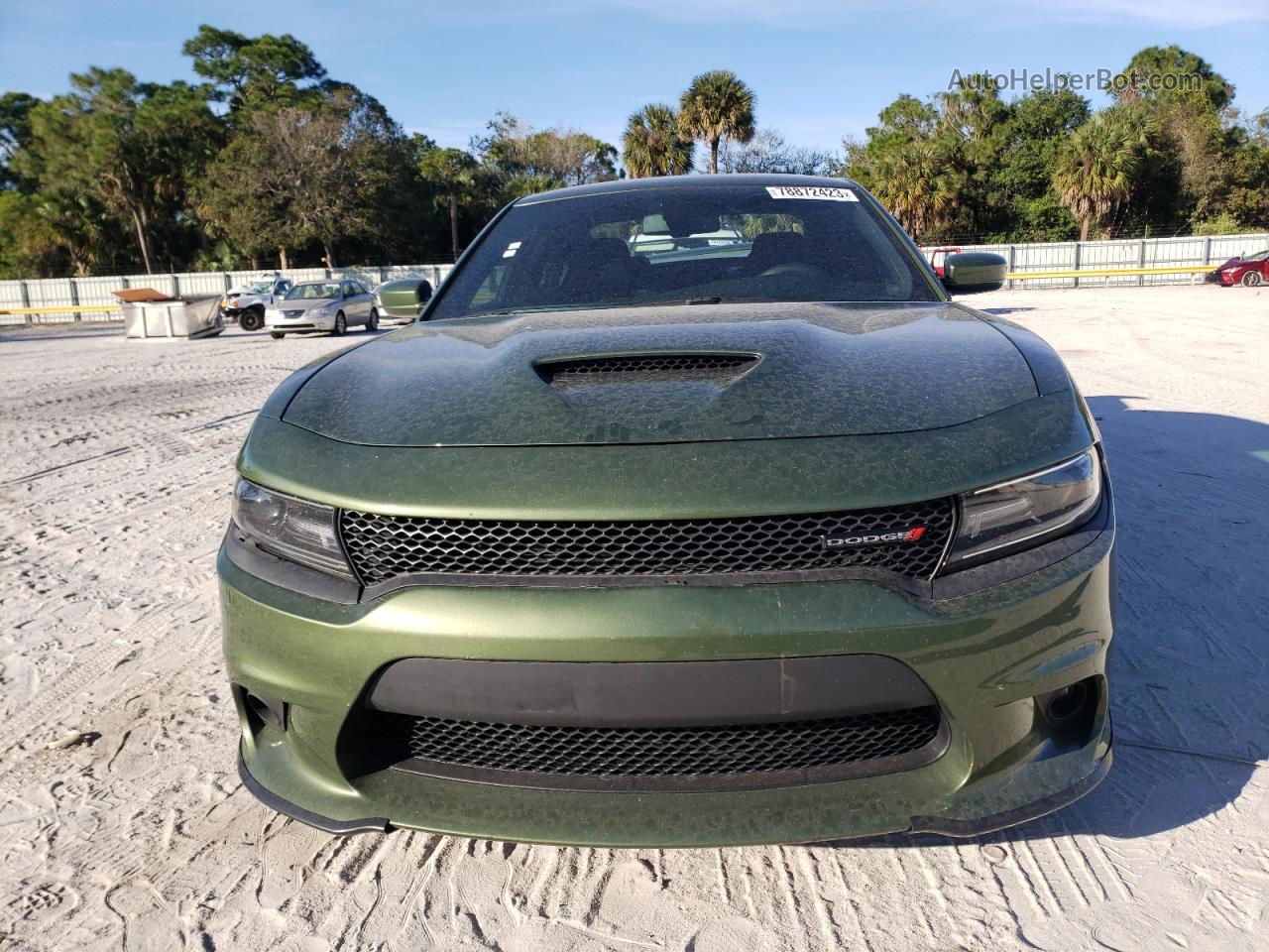 2021 Dodge Charger R/t Green vin: 2C3CDXCTXMH565913