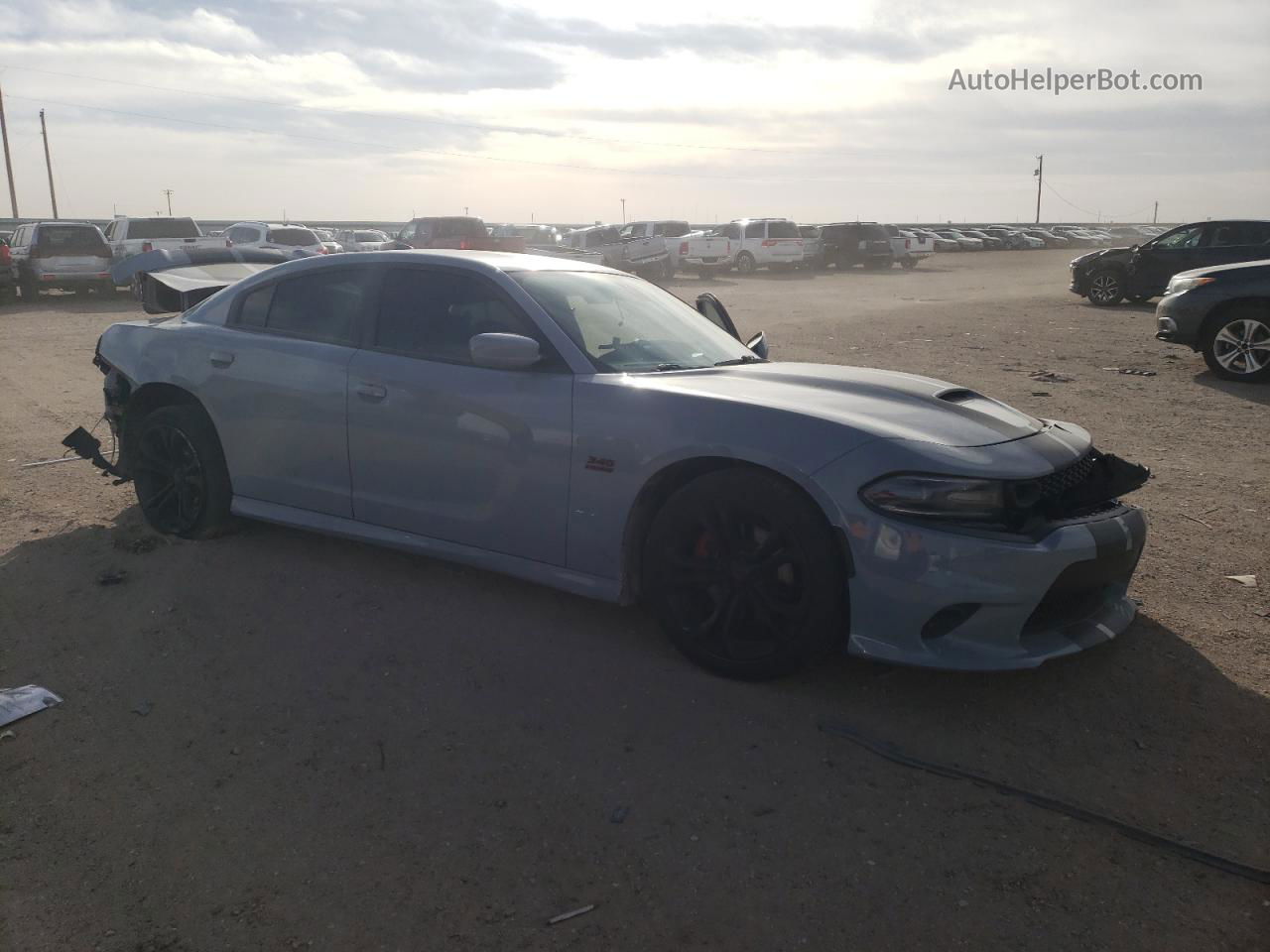 2021 Dodge Charger R/t Gray vin: 2C3CDXCTXMH603981