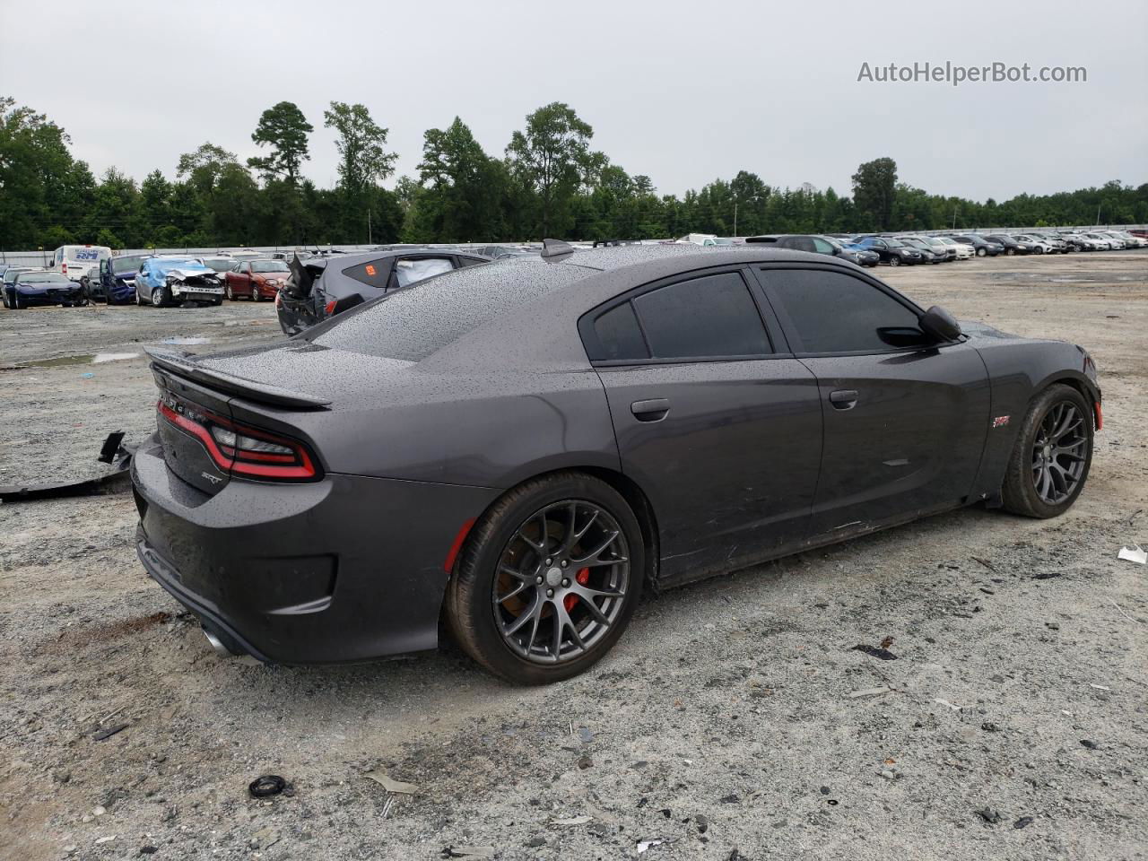 2016 Dodge Charger Srt 392 Серый vin: 2C3CDXEJ7GH169616