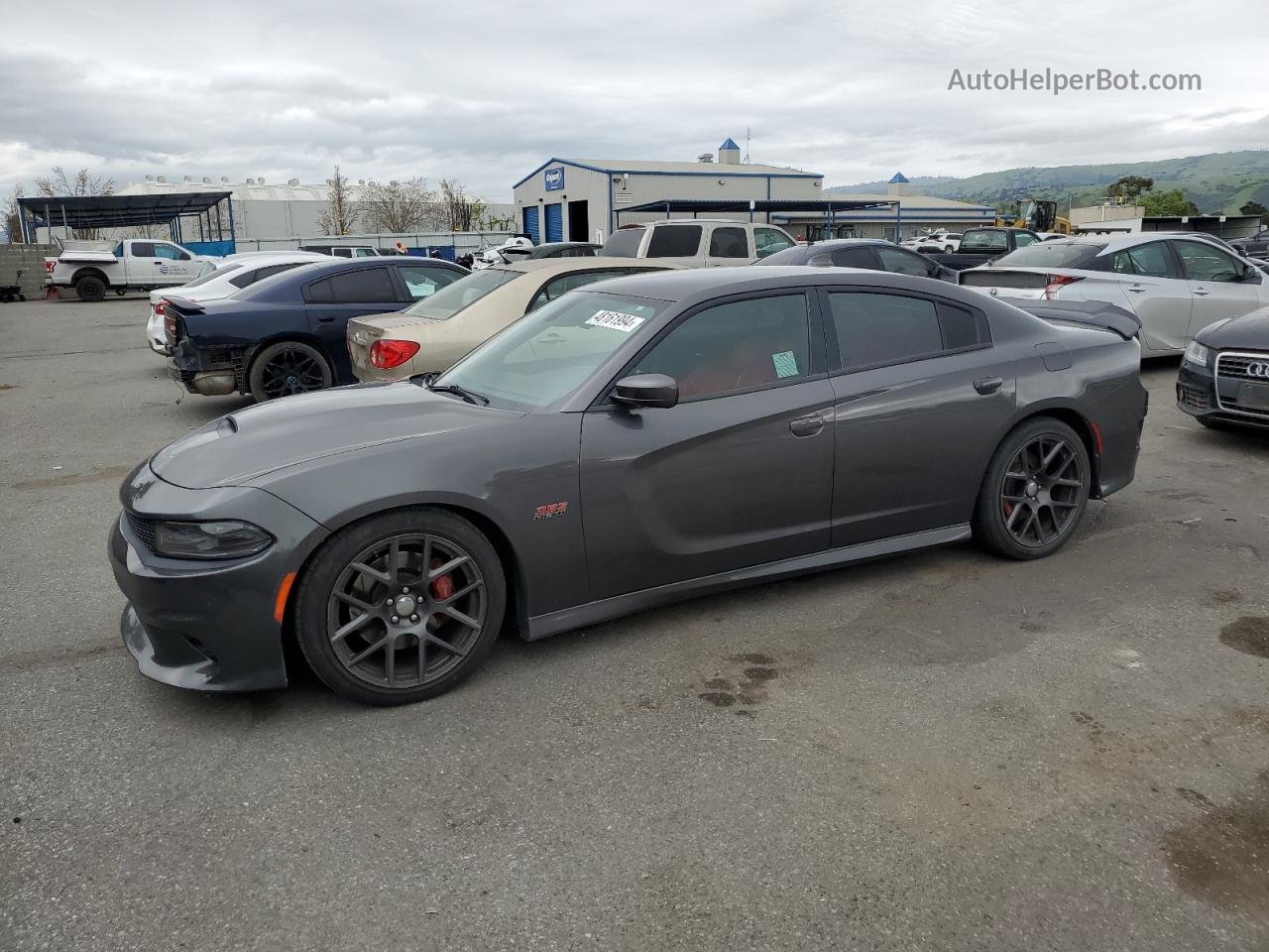 2016 Dodge Charger R/t Scat Pack Gray vin: 2C3CDXGJ3GH237908