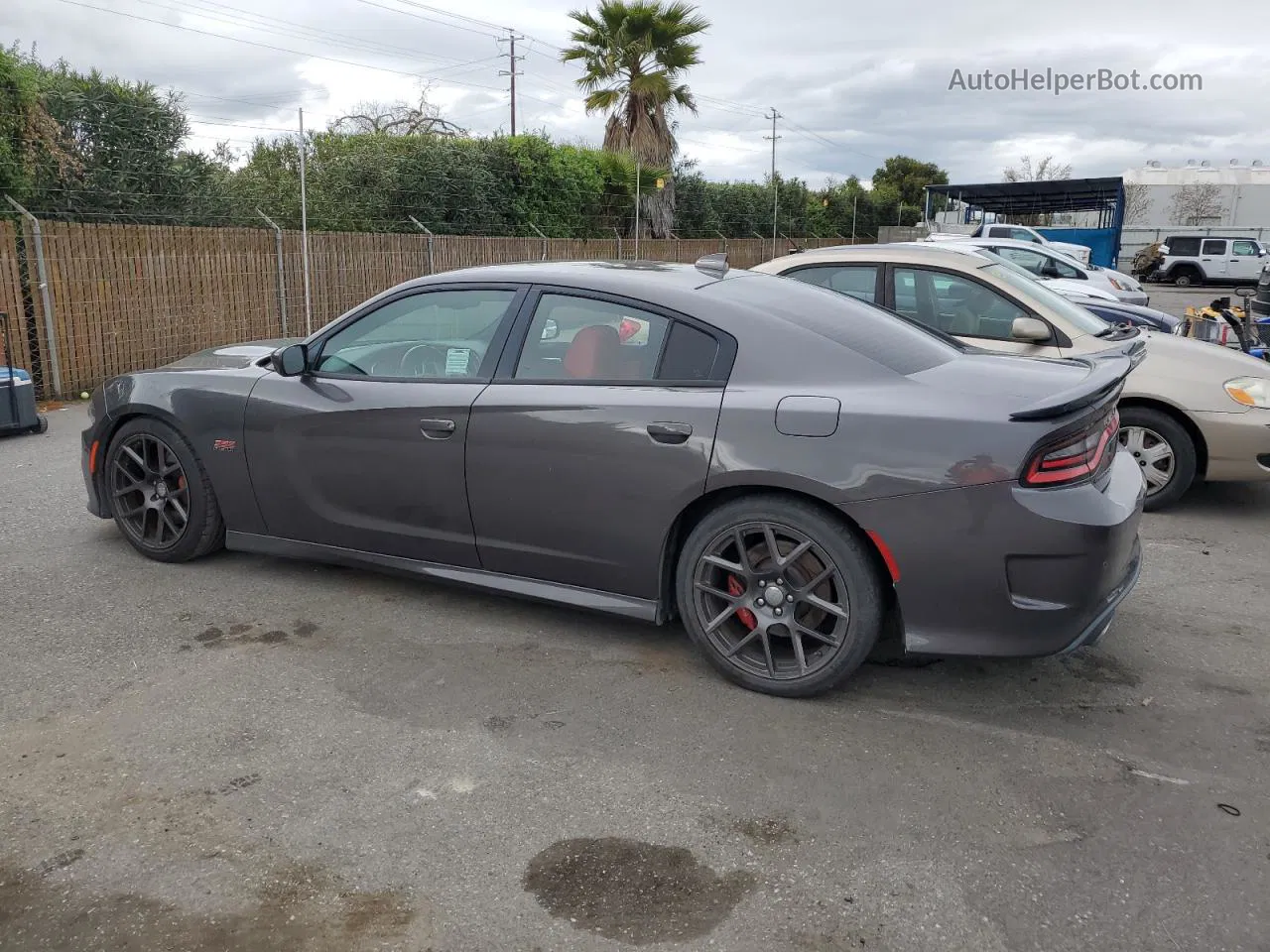 2016 Dodge Charger R/t Scat Pack Gray vin: 2C3CDXGJ3GH237908