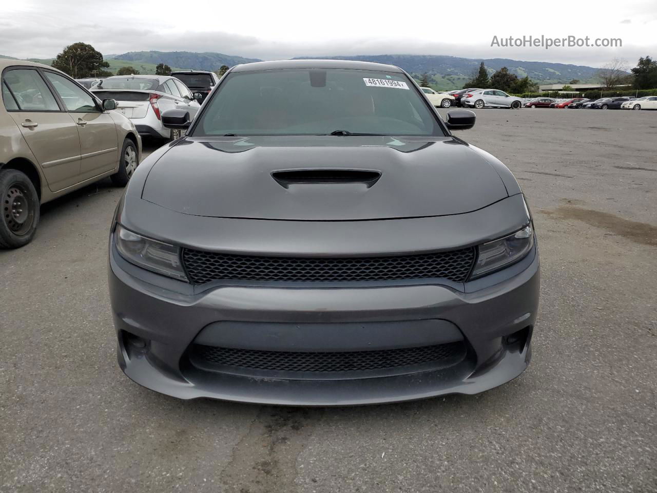 2016 Dodge Charger R/t Scat Pack Gray vin: 2C3CDXGJ3GH237908