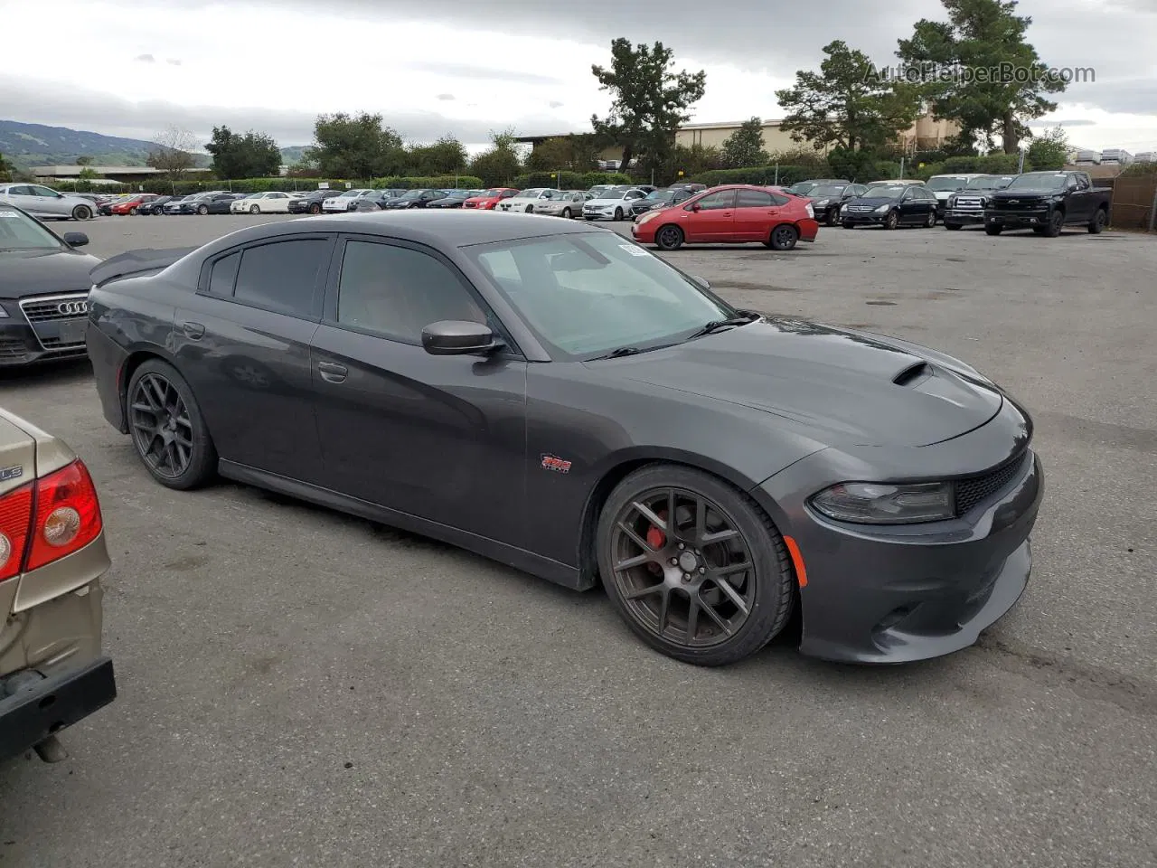 2016 Dodge Charger R/t Scat Pack Gray vin: 2C3CDXGJ3GH237908