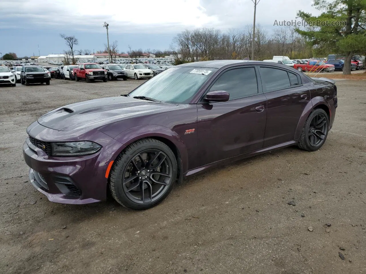 2021 Dodge Charger Scat Pack Purple vin: 2C3CDXGJ5MH622642