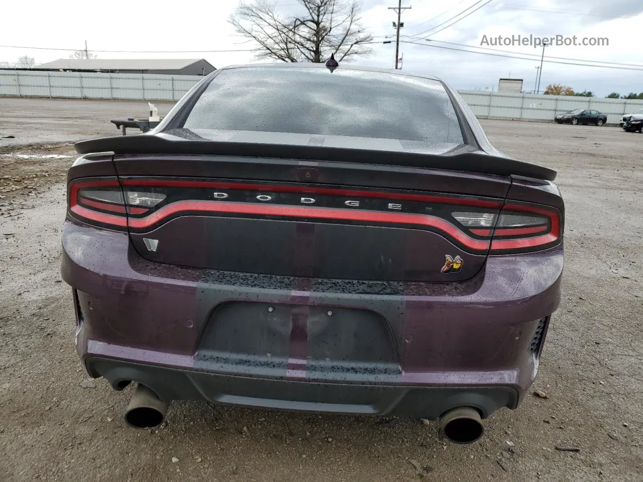 2021 Dodge Charger Scat Pack Purple vin: 2C3CDXGJ5MH622642