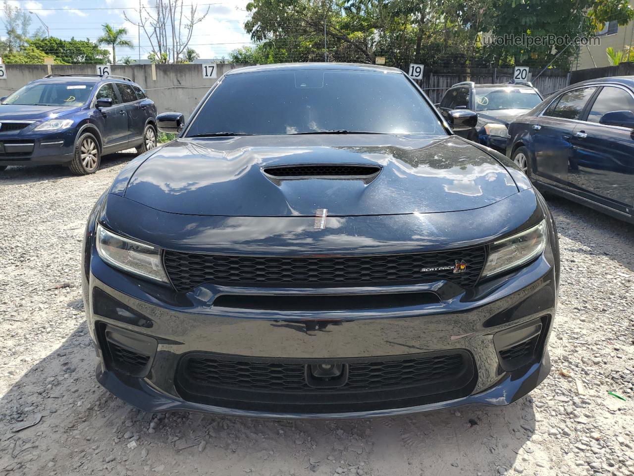 2021 Dodge Charger Scat Pack Black vin: 2C3CDXGJ5MH626853