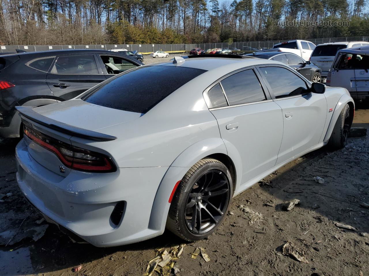 2021 Dodge Charger Scat Pack Серый vin: 2C3CDXGJ7MH611660