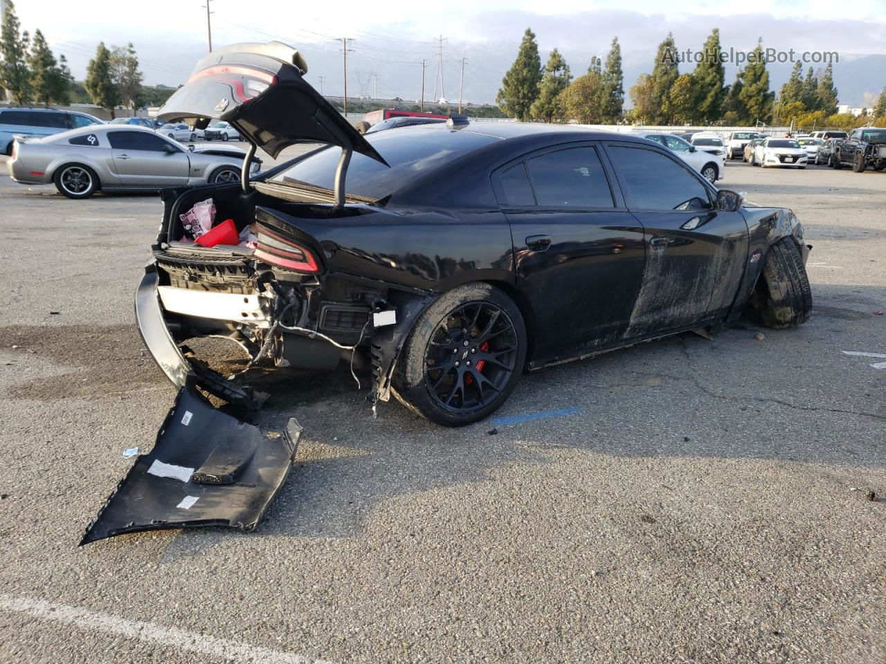 Price & History 2019 Dodge Charger Scat Pack 6.4l 8 vin