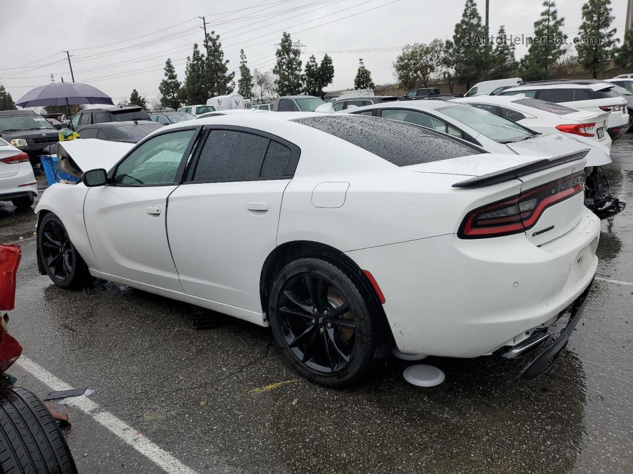 2017 Dodge Charger Sxt White vin: 2C3CDXHG0HH620824