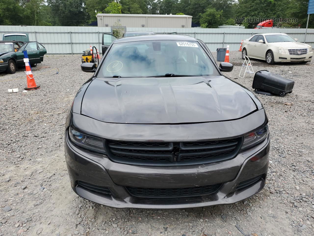 2016 Dodge Charger Sxt Gray vin: 2C3CDXHG2GH305716