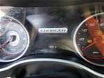 2017 Dodge Charger Sxt Угольный vin: 2C3CDXHG2HH581119