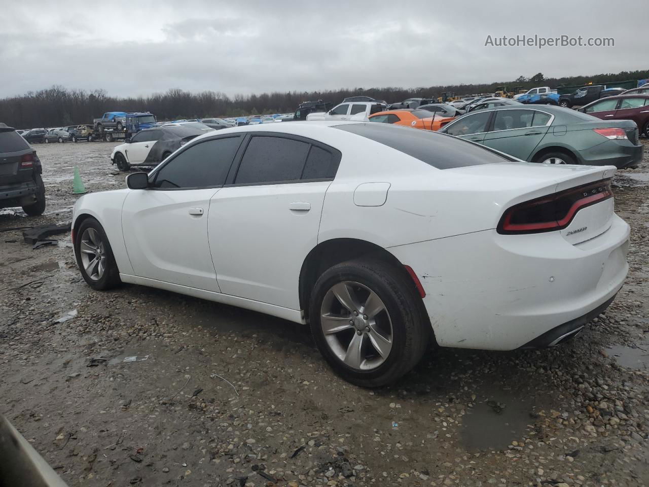 2018 Dodge Charger Sxt Plus Белый vin: 2C3CDXHG2JH169336