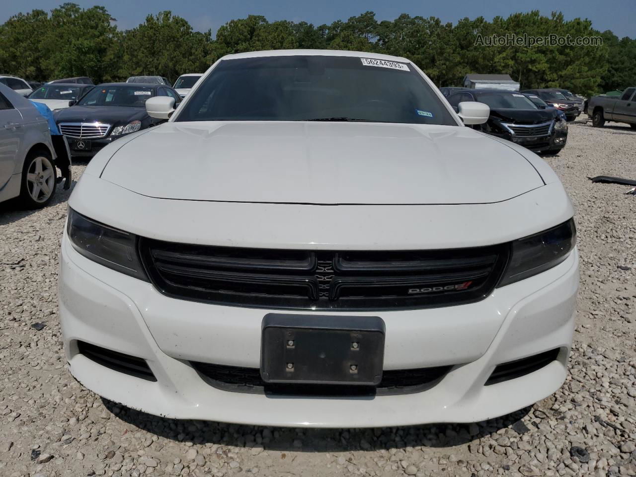 2016 Dodge Charger Sxt White vin: 2C3CDXHG3GH241105