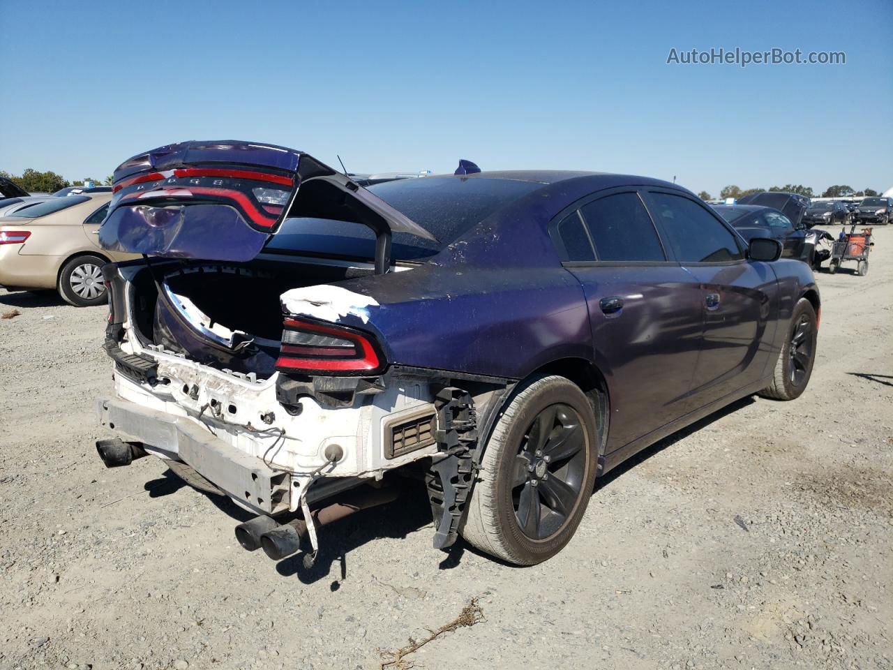 2017 Dodge Charger Sxt Purple vin: 2C3CDXHG3HH505313