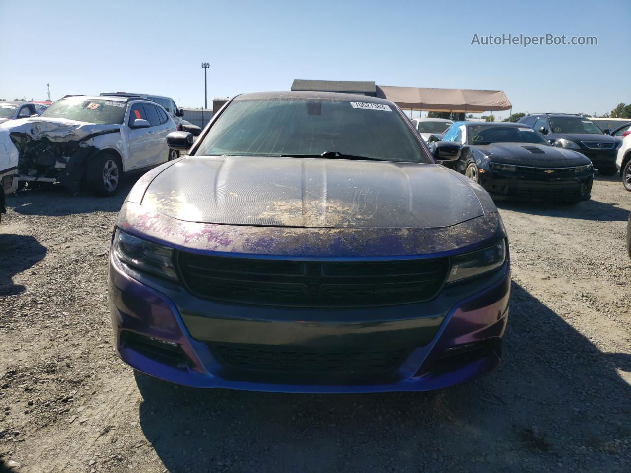 2017 Dodge Charger Sxt Purple vin: 2C3CDXHG3HH505313