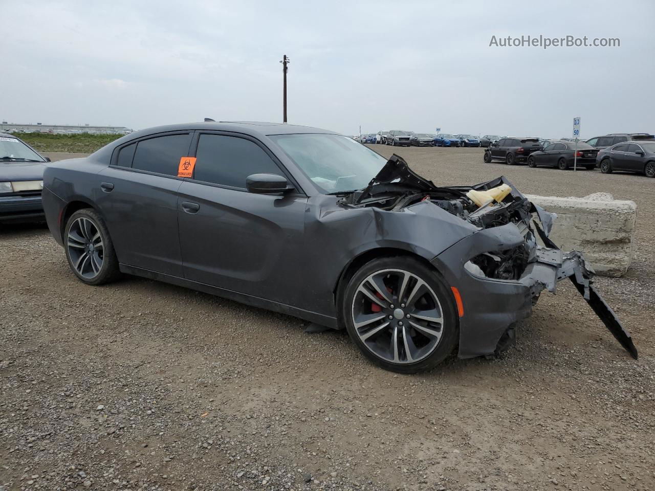 2018 Dodge Charger Sxt Plus Серый vin: 2C3CDXHG3JH220388