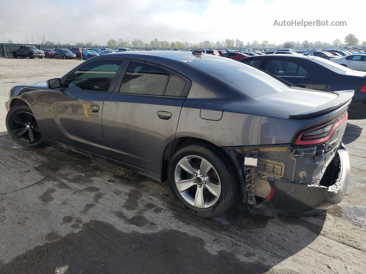 2016 Dodge Charger Sxt Серый vin: 2C3CDXHG4GH292550