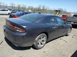 2017 Dodge Charger Sxt Gray vin: 2C3CDXHG6HH562802