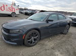 2017 Dodge Charger Sxt Gray vin: 2C3CDXHG6HH628054