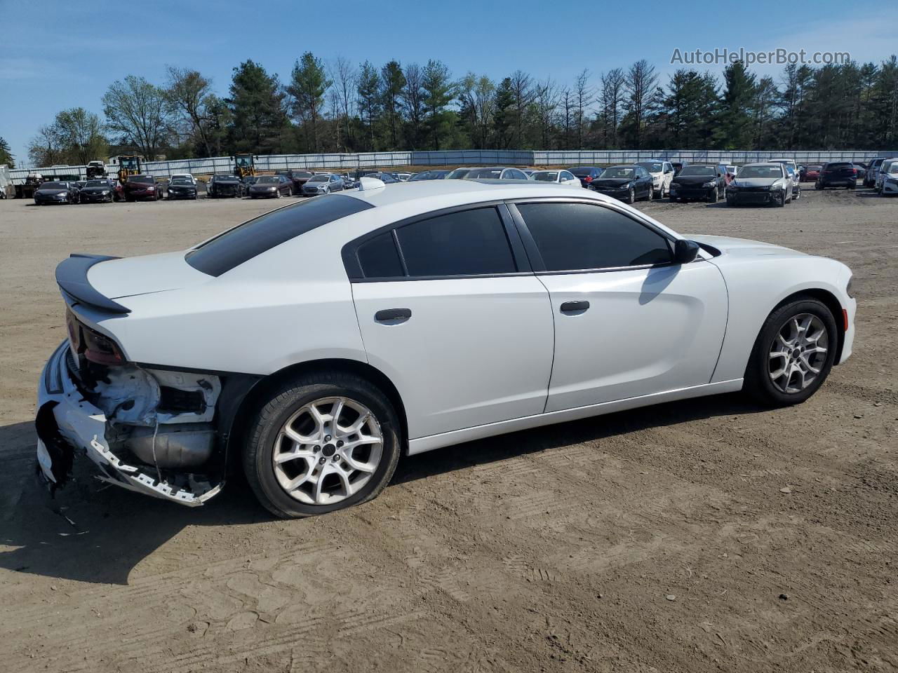 2017 Dodge Charger Sxt White vin: 2C3CDXJG2HH584452