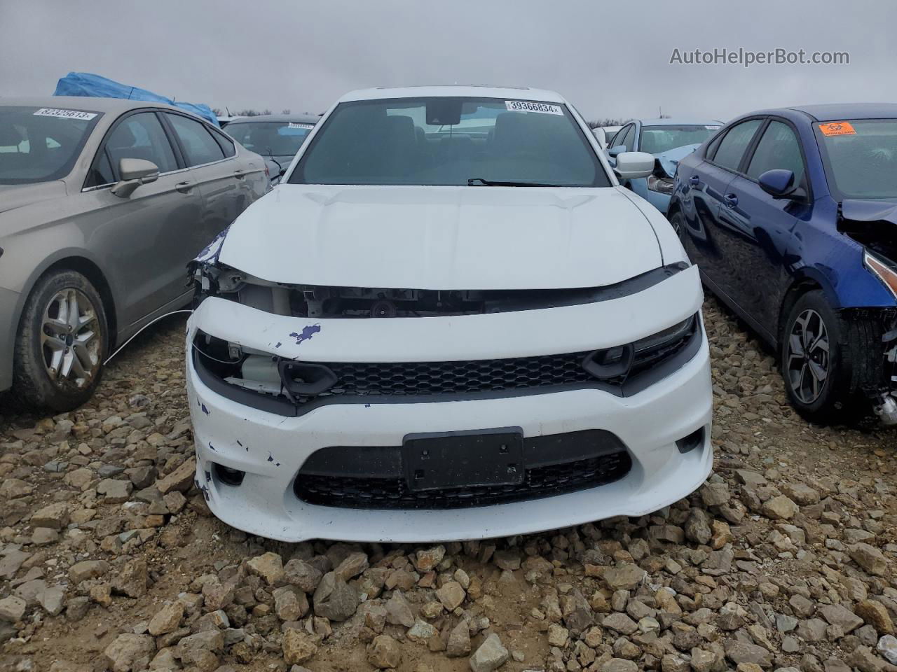 2017 Dodge Charger Sxt White vin: 2C3CDXJG6HH513156