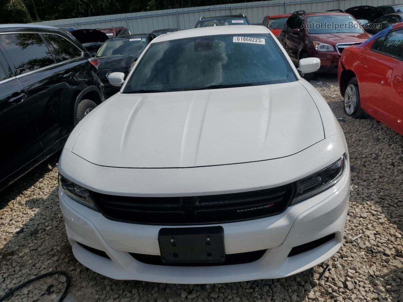 2016 Dodge Charger Sxt White vin: 2C3CDXJG9GH189120