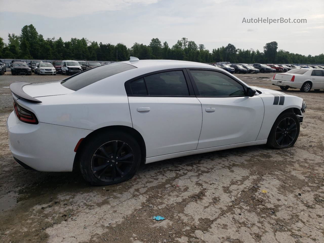 2021 Dodge Charger Sxt Белый vin: 2C3CDXJGXMH629549