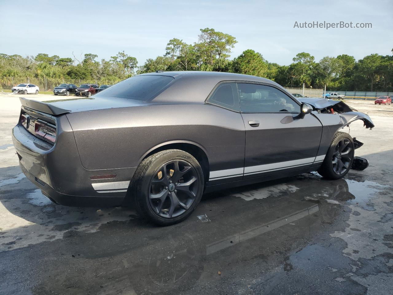 2017 Dodge Challenger Sxt Gray vin: 2C3CDZAG0HH634051