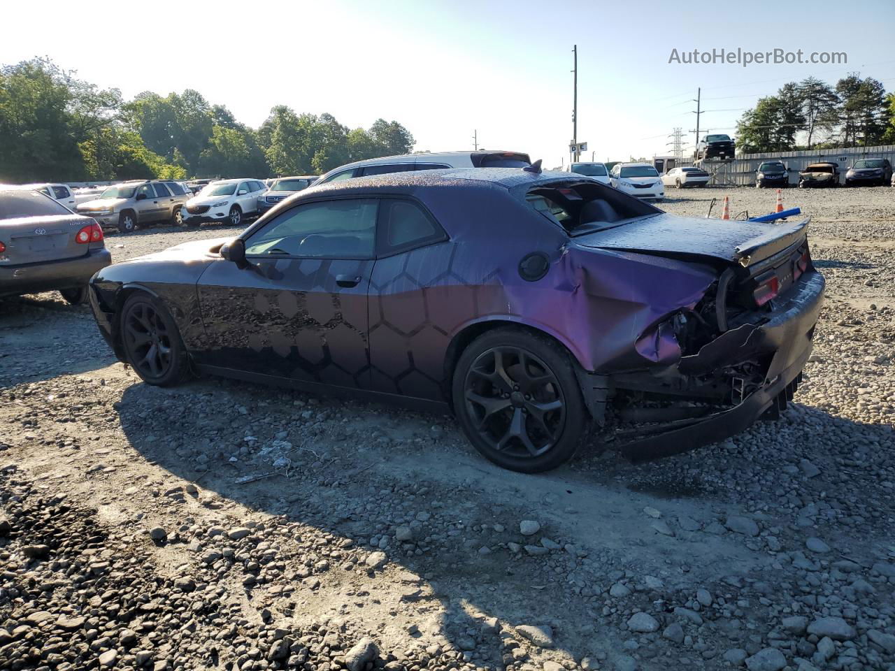 2016 Dodge Challenger Sxt Purple vin: 2C3CDZAG2GH168735