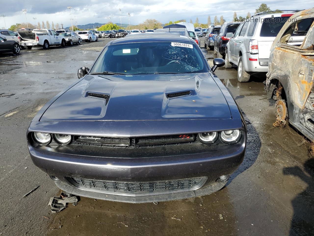 2015 Dodge Challenger Sxt Plus Gray vin: 2C3CDZBT5FH703017