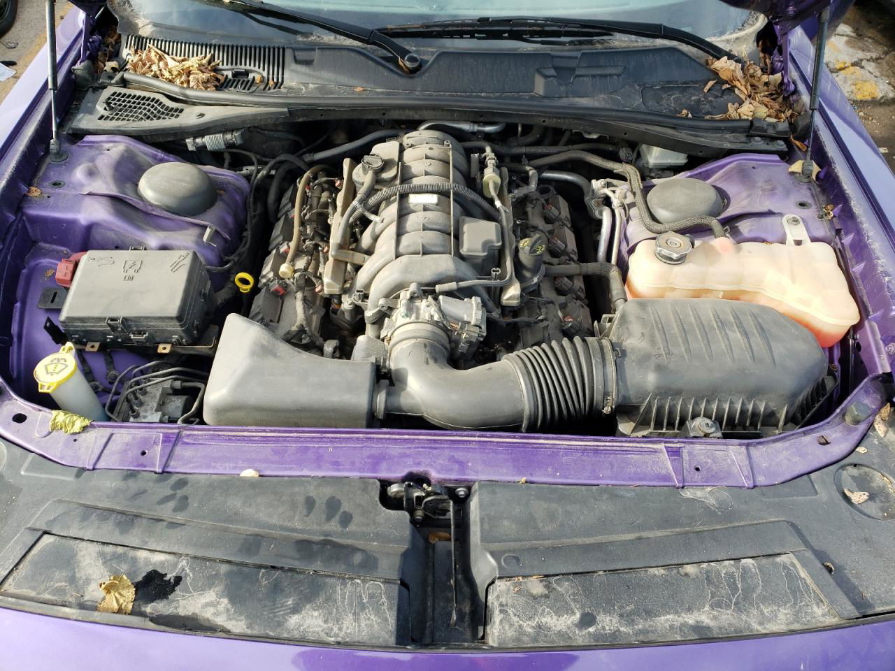 2016 Dodge Challenger R/t Purple vin: 2C3CDZBT7GH172338