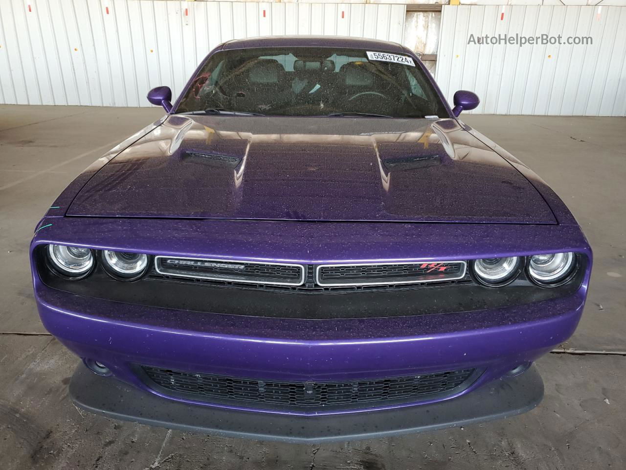 2016 Dodge Challenger R/t Scat Pack Фиолетовый vin: 2C3CDZFJXGH195699