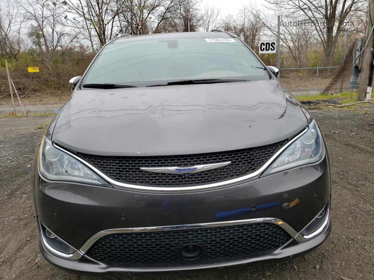 2020 Chrysler Pacifica Limited Gray vin: 2C4RC1GG7LR151869