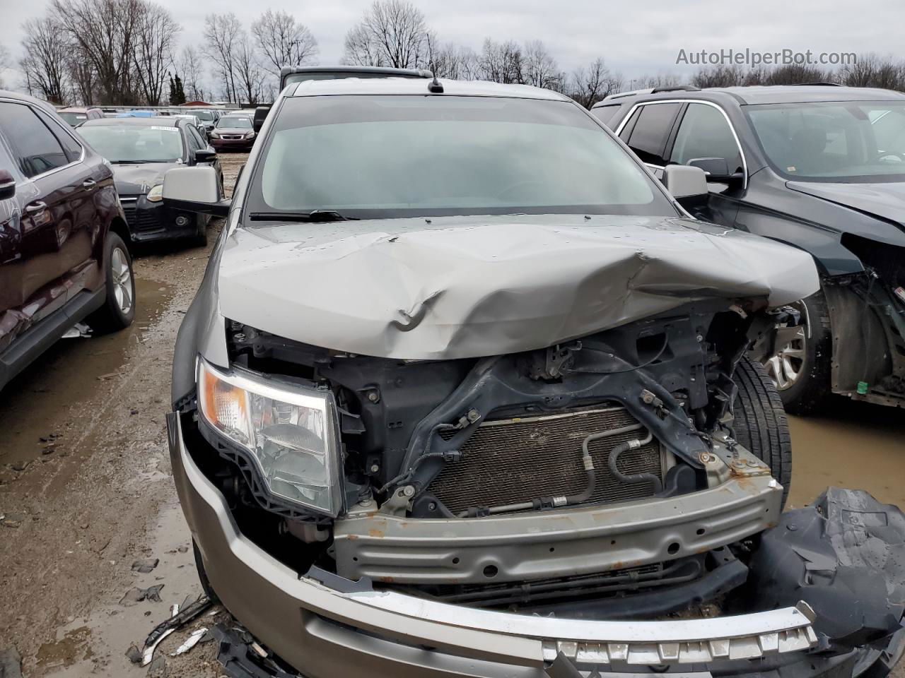 2008 Ford Edge Limited Silver vin: 2FMDK39C58BB46538