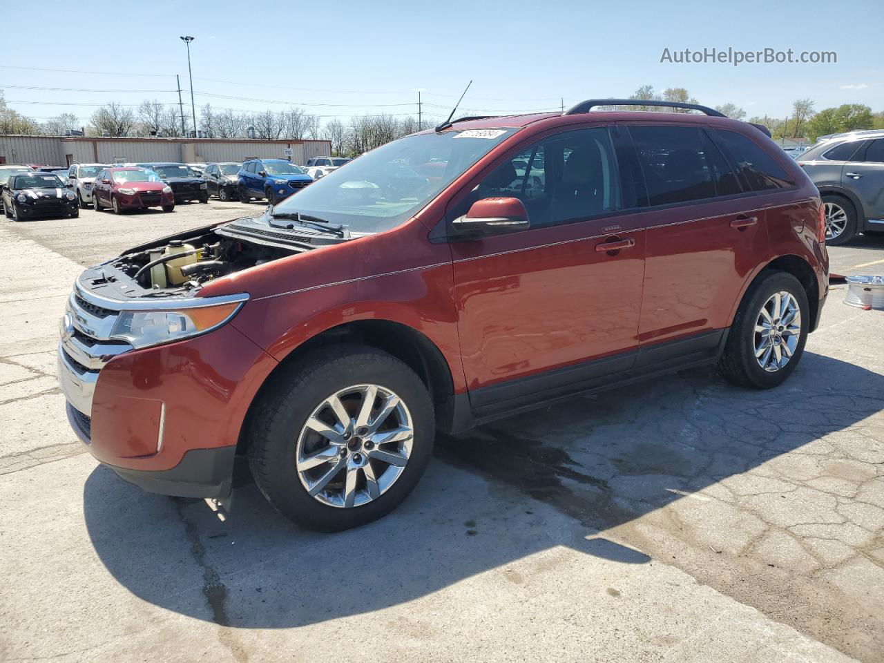 2014 Ford Edge Sel Red vin: 2FMDK3J99EBB19211