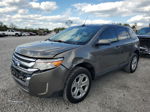 2014 Ford Edge Sel Желто-коричневый vin: 2FMDK3JC0EBB23577