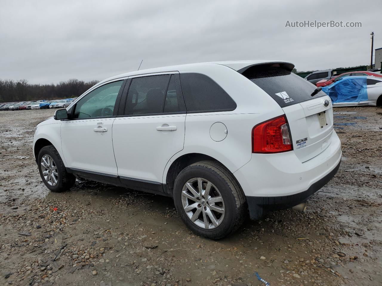 2014 Ford Edge Sel Белый vin: 2FMDK3JC6EBA02441