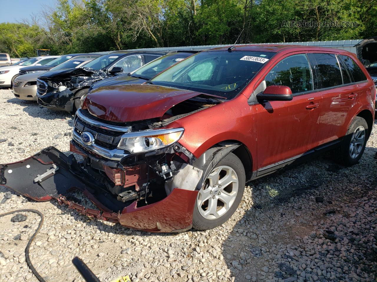 2014 Ford Edge Sel Red vin: 2FMDK3JC8EBA49583