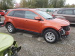 2008 Ford Edge Sel Orange vin: 2FMDK48C88BA63581