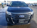 2014 Ford Edge Sport Черный vin: 2FMDK4AK5EBB18162