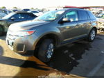 2014 Ford Edge Sel Brown vin: 2FMDK4JC4EBB16086