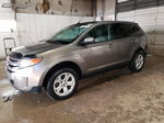 2014 Ford Edge Sel Gray vin: 2FMDK4JC5EBA35341