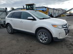 2014 Ford Edge Sel White vin: 2FMDK4JC5EBB26884