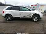 2014 Ford Edge Sel Белый vin: 2FMDK4JC5EBB28845