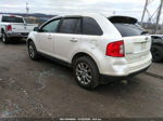 2014 Ford Edge Sel White vin: 2FMDK4JC5EBB28845