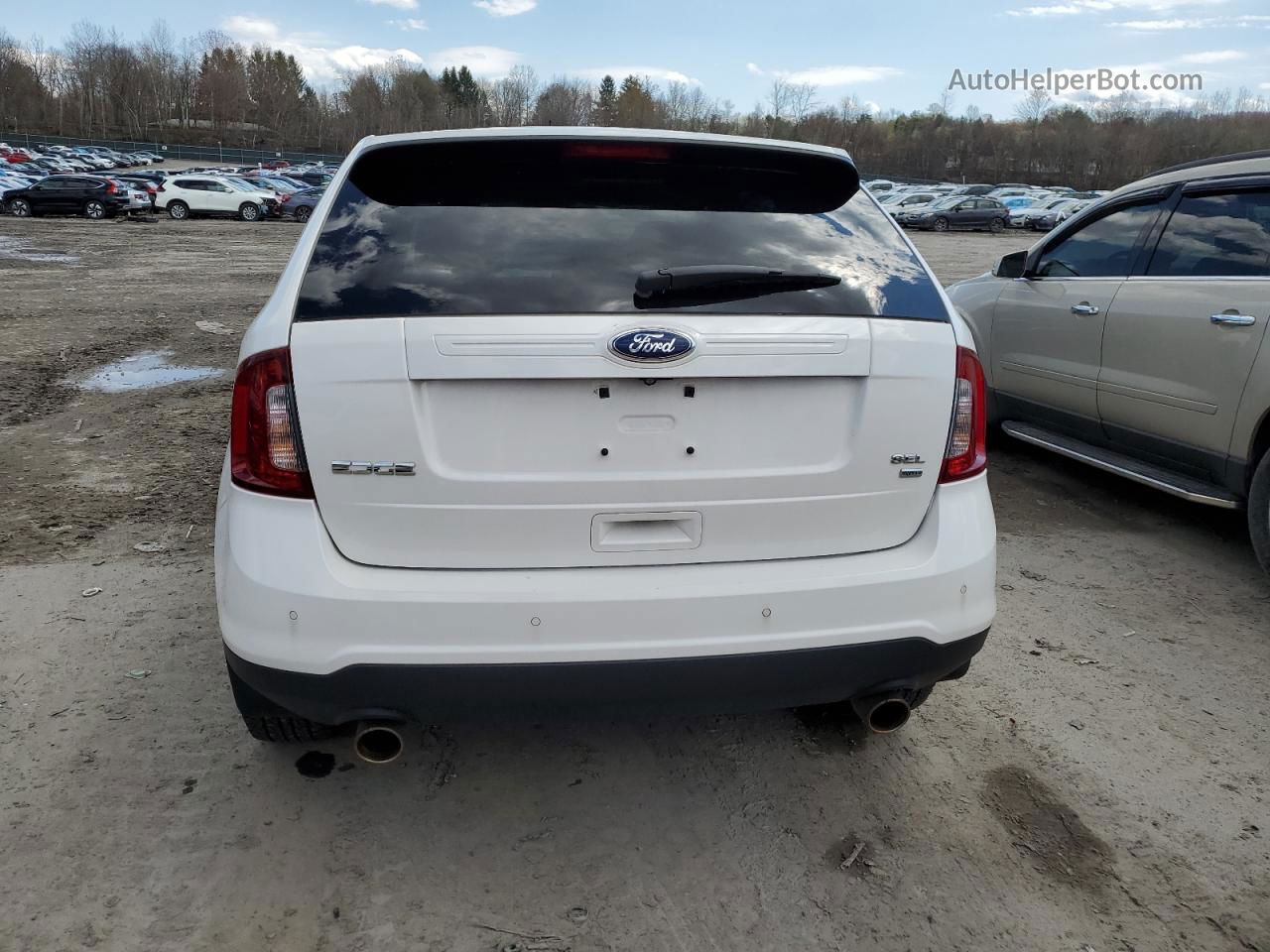 2014 Ford Edge Sel Белый vin: 2FMDK4JC6EBB34119