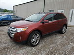 2014 Ford Edge Limited Оранжевый vin: 2FMDK4KC1EBA04750